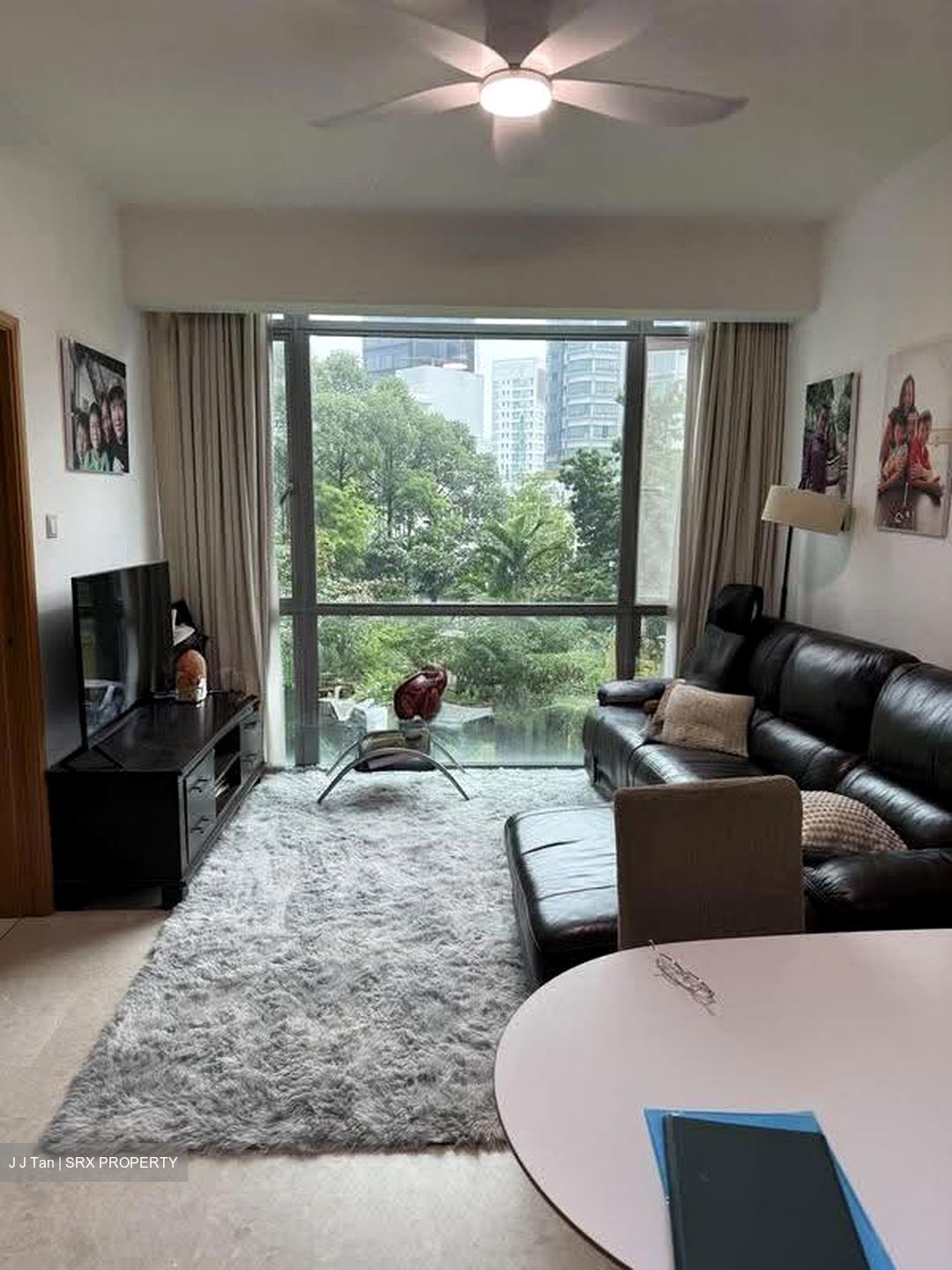 Park Infinia At Wee Nam (D11), Condominium #637307911
